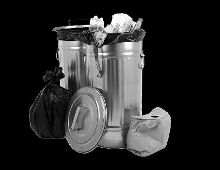Professionals managing construction waste disposal